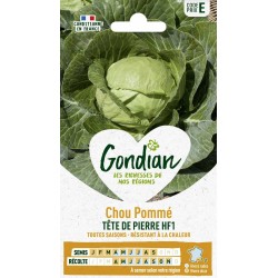 GONDIAN Chou Pommé TÊTE DE...