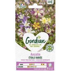 GONDIAN Ancolie ÉTOILE...