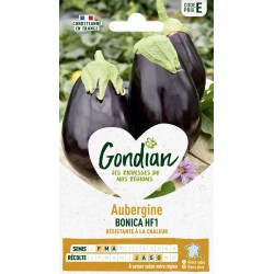 GONDIAN Aubergine BONICA...