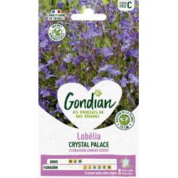 GONDIAN Lobélia CRYSTAL...