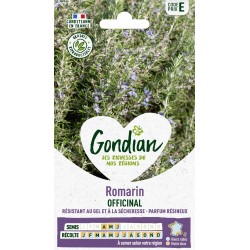 GONDIAN Romarin OFFICINAL...