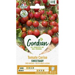 GONDIAN Tomate Cerise...