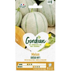 GONDIAN Melon DIÉGO HF1...