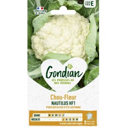 GONDIAN Chou-Fleur NAUTILUS...