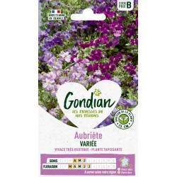 GONDIAN Aubriète VARIÉE...