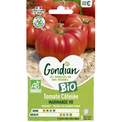 GONDIAN BIO-Tomate Côtelée...