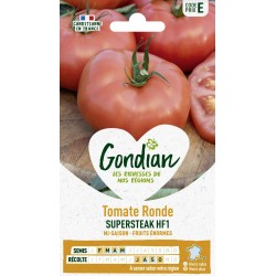 GONDIAN Tomate Ronde...