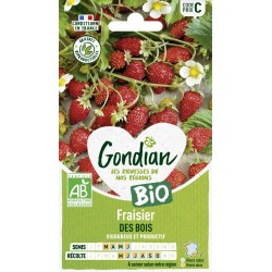 GONDIAN BIO-Fraisier DES...
