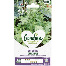 GONDIAN Verveine OFFICINALE...