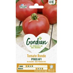 GONDIAN Tomate Ronde PYROS...