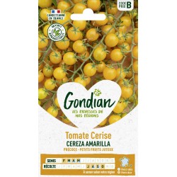GONDIAN Tomate Cerise...