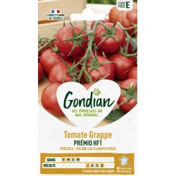 GONDIAN Tomate Grappe...