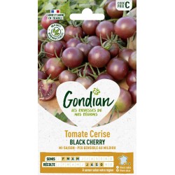 GONDIAN Tomate Cerise BLACK...