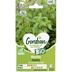GONDIAN BIO-Menthe POIVRÉE...