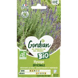 GONDIAN BIO-Hysope...