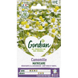 GONDIAN Camomille...