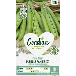 GONDIAN Pois Nain PLEIN LE...
