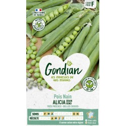 GONDIAN Pois Nain ALICIA...