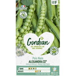 GONDIAN Pois Nain ALEXANDRA...