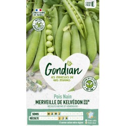 GONDIAN Pois Nain MERVEILLE...