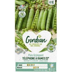 GONDIAN Pois Grimpant...