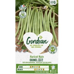 GONDIAN Haricot Nain OXINEL...