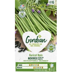 GONDIAN Haricot Nain...