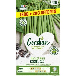 GONDIAN 180+20G...