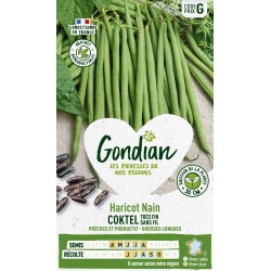 GONDIAN Haricot Nain COKTEL...
