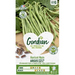 GONDIAN Haricot Nain ARGUS...