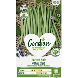 GONDIAN Haricot Nain ROYAL...