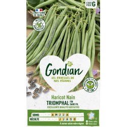 GONDIAN Haricot Nain...