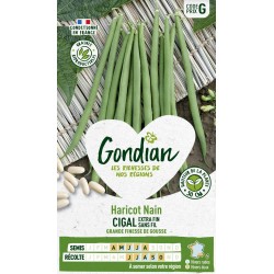 GONDIAN Haricot Nain CIGAL...