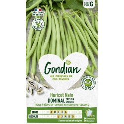 GONDIAN Haricot Nain...