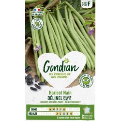 GONDIAN Haricot Nain...
