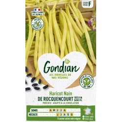GONDIAN Haricot Nain DE...