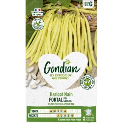 GONDIAN Haricot Nain FORTAL...