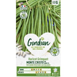 GONDIAN Haricot Grimpant...