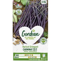 GONDIAN Haricot Grimpant...