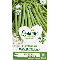 GONDIAN Haricot Grimpant...