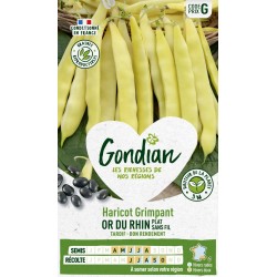 GONDIAN Haricot Grimpant OR...