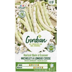 GONDIAN Haricot Nain à...