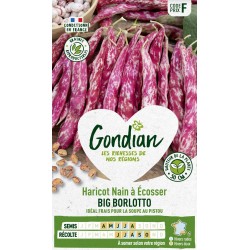 GONDIAN Haricot Nain à...