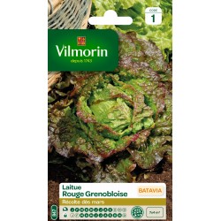 VILMORIN LAITUE BATAVIA...