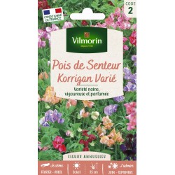 VILMORIN POIS DE SENTEUR...