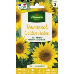 VILMORIN TOURNESOL Golden...