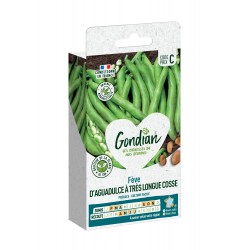 GONDIAN Fève D'AGUADULCE À...