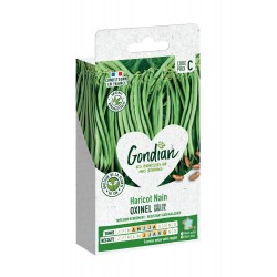 GONDIAN Haricot Nain OXINEL...