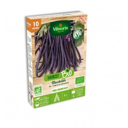 VILMORIN HARICOT BIO...