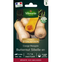 VILMORIN GRAINES...